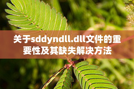 关于sddyndll.dll文件的重要性及其缺失解决方法