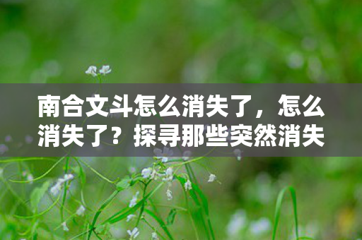 南合文斗怎么消失了，怎么消失了？探寻那些突然消失的神秘事件