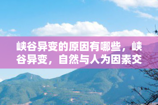 峡谷异变的原因有哪些，峡谷异变，自然与人为因素交织的谜团