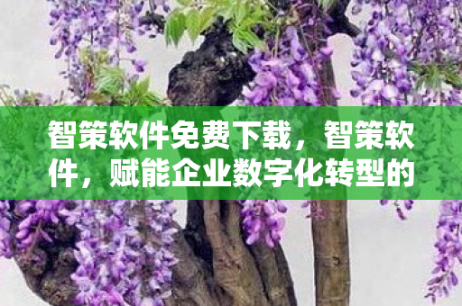 智策软件免费下载，智策软件，赋能企业数字化转型的利器