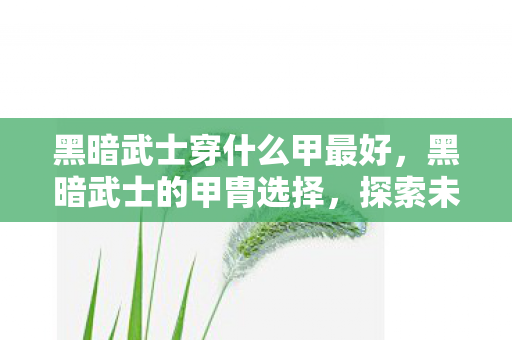 黑暗武士穿什么甲最好,黑暗武士的甲胄选择,探索未知的力量 黑暗武士穿什么甲最好,黑暗武士的甲胄选择,探索未知的力量