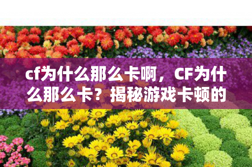cf为什么那么卡啊图片