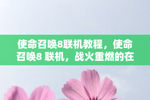 使命召唤8联机教程，使命召唤8 联机，战火重燃的在线对战体验