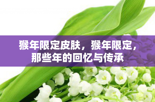 猴年限定皮肤,猴年限定,那些年的回忆与传承 猴年限定皮肤,猴年限定,那些年的回忆与传承