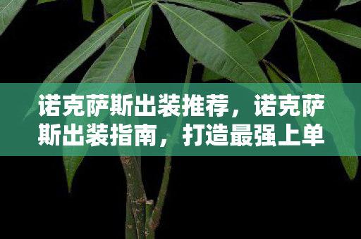 诺克萨斯出装推荐,诺克萨斯出装指南,打造最强上单战士 诺克萨斯出装推荐,诺克萨斯出装指南,打造最强上单战士