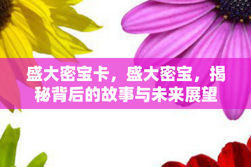 盛大密宝卡，盛大密宝，揭秘背后的故事与未来展望