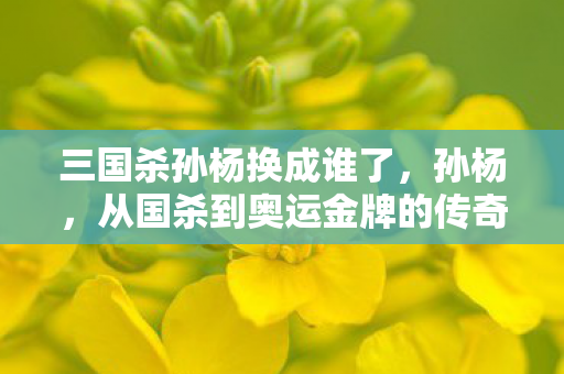 三国杀孙杨换成谁了，孙杨，从国杀到奥运金牌的传奇之路