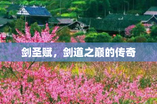 剑圣赋，剑道之巅的传奇