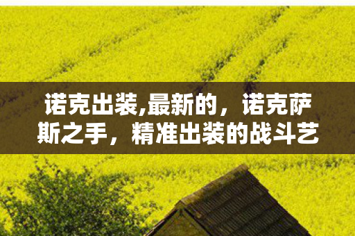 诺克出装,最新的，诺克萨斯之手，精准出装的战斗艺术