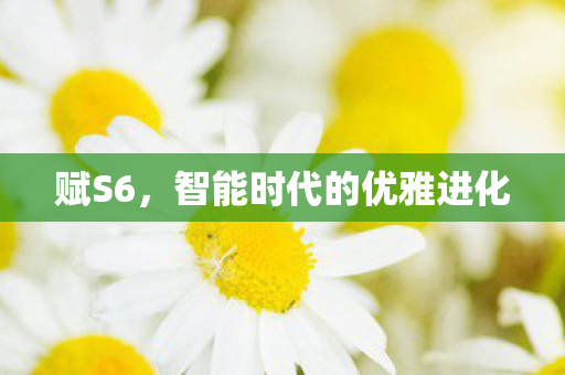 赋S6,智能时代的优雅进化 赋S6,智能时代的优雅进化