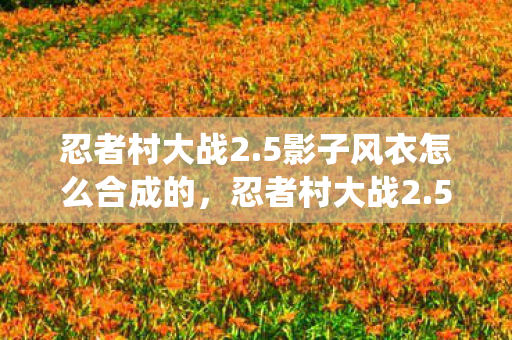 忍者村大战2.5影子风衣怎么合成的,忍者村大战2.5,全新战役,燃爆你的战斗激情 忍者村大战2.5影子风衣怎么合成的,忍者村大战2.5,全新战役,燃爆你的战斗激情