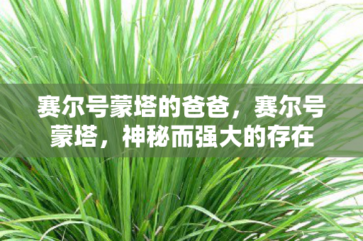 赛尔号蒙塔的爸爸，赛尔号蒙塔，神秘而强大的存在