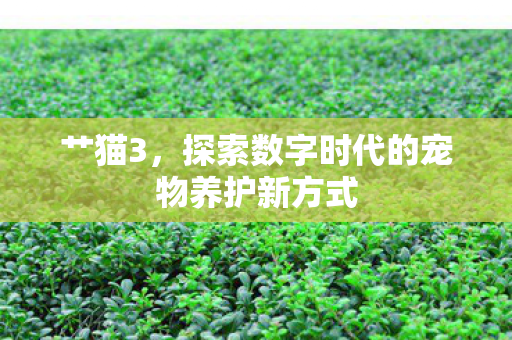 艹猫3,探索数字时代的宠物养护新方式 艹猫3,探索数字时代的宠物养护新方式