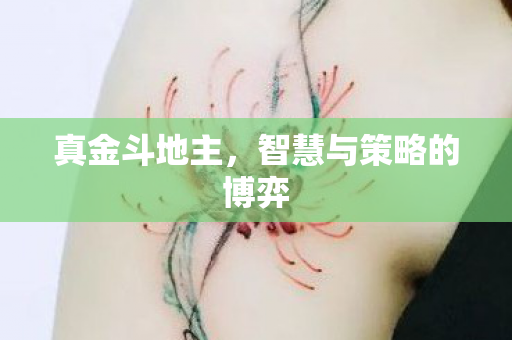 真金斗地主，智慧与策略的博弈