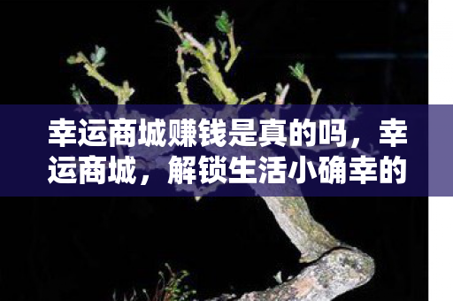 解锁生活小确幸的神奇之地图片