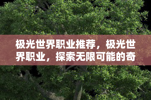 极光世界职业推荐，极光世界职业，探索无限可能的奇幻之旅