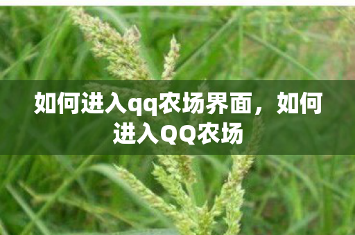 如何进入qq农场界面，如何进入QQ农场