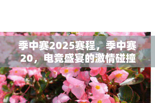 季中赛2025赛程，季中赛20，电竞盛宴的激情碰撞