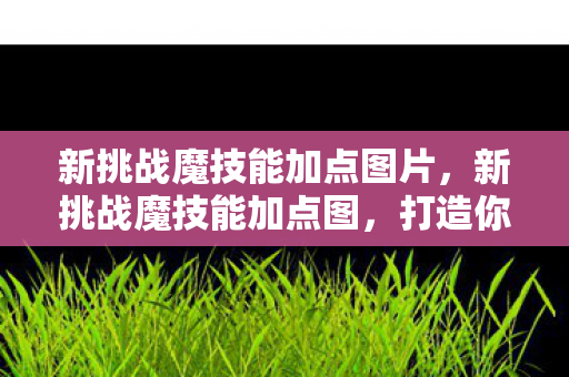 新挑战魔技能加点图片,新挑战魔技能加点图,打造你的专属战斗风格 新挑战魔技能加点图片,新挑战魔技能加点图,打造你的专属战斗风格
