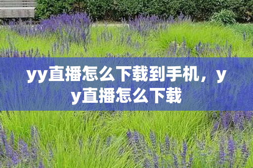 yy直播怎么下载到手机，yy直播怎么下载