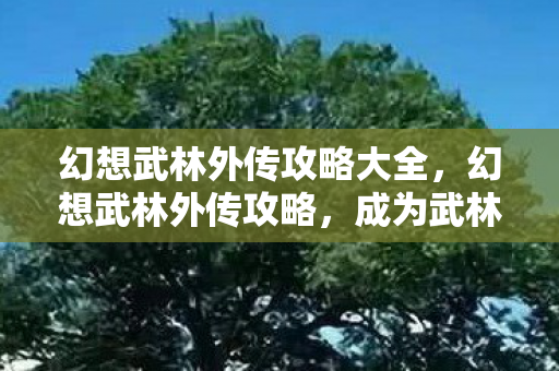 幻想武林外传攻略大全，幻想武林外传攻略，成为武林高手的秘诀