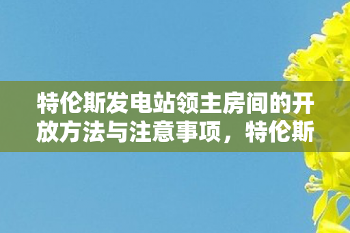 特伦斯发电站领主房间的开放方法与注意事项，特伦斯发电站，绿色能源的新里程碑