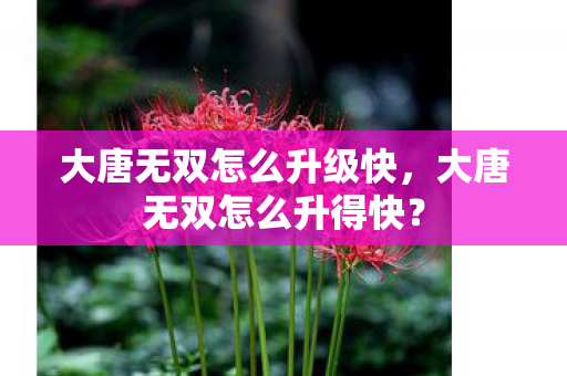 大唐无双怎么升级快，大唐无双怎么升得快？