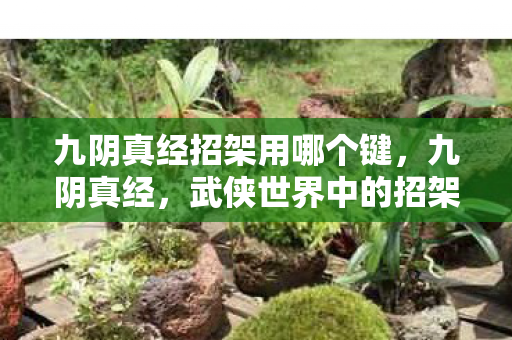 九阴真经招架用哪个键，九阴真经，武侠世界中的招架艺术