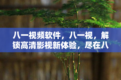 八一视频软件，八一视，解锁高清影视新体验，尽在八一视下载APP
