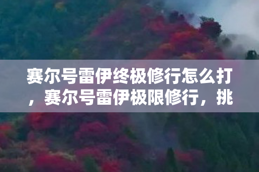 赛尔号雷伊终极修行怎么打，赛尔号雷伊极限修行，挑战与成长的传奇之旅