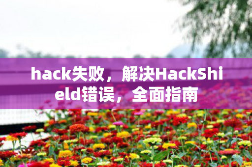 hack失败，解决HackShield错误，全面指南