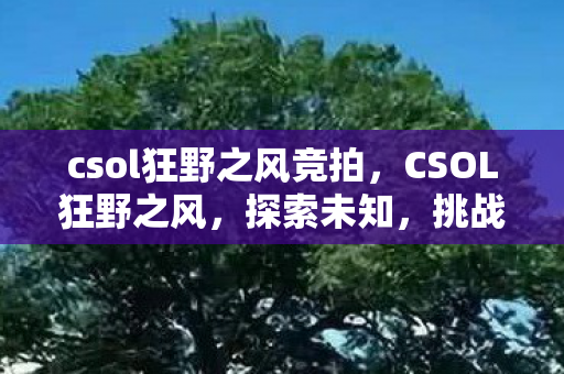 csol狂野之风竞拍，CSOL狂野之风，探索未知，挑战极限