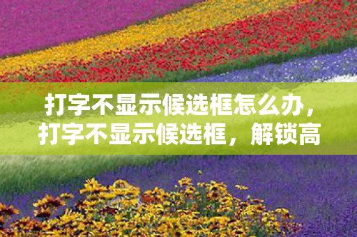 打字不显示候选框怎么办，打字不显示候选框，解锁高效输入的新技能