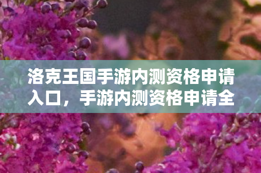 洛克王国手游内测资格申请入口，手游内测资格申请全攻略，如何轻松获取内测资格？