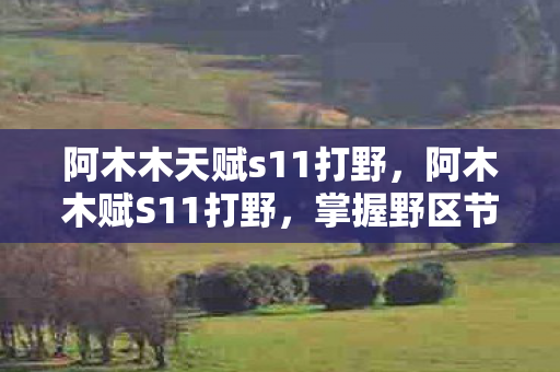 阿木木天赋s11打野图片