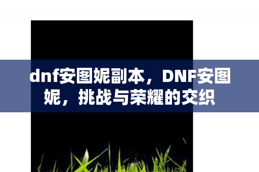 dnf安图妮副本，DNF安图妮，挑战与荣耀的交织