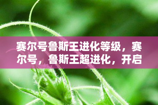 赛尔号鲁斯王进化等级，赛尔号，鲁斯王超进化，开启全新冒险篇章