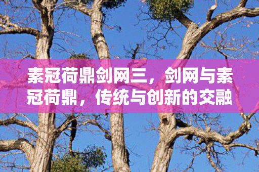 素冠荷鼎剑网三，剑网与素冠荷鼎，传统与创新的交融