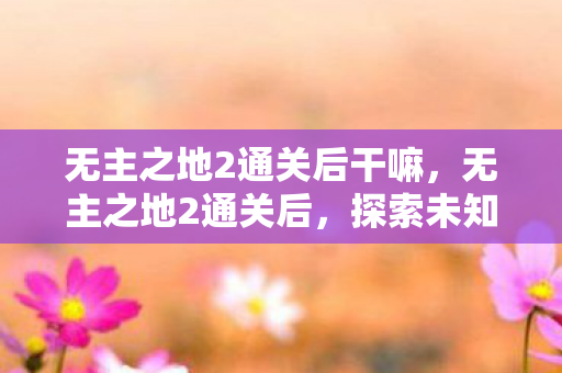 无主之地2通关后干嘛，无主之地2通关后，探索未知，挑战未止