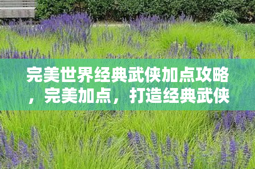 完美世界经典武侠加点攻略，完美加点，打造经典武侠角色