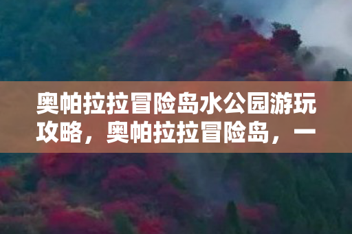 奥帕拉拉冒险岛水公园游玩攻略，奥帕拉拉冒险岛，一场别开生面的探险之旅