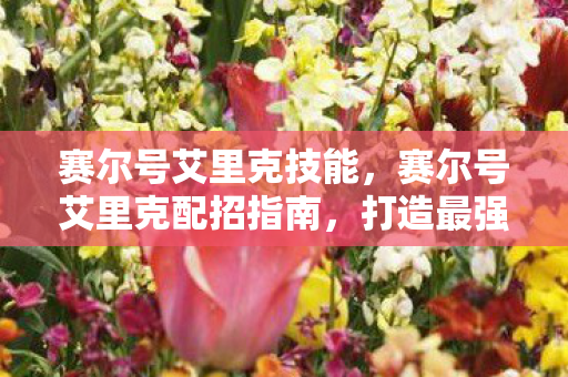 赛尔号艾里克技能,赛尔号艾里克配招指南,打造最强战斗阵容 赛尔号艾里克技能,赛尔号艾里克配招指南,打造最强战斗阵容