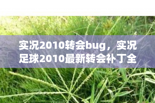 实况足球2010最新转会补丁全解析图片