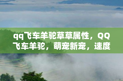 qq飞车羊驼草草属性,QQ飞车羊驼,萌宠新宠,速度与可爱的完美融合 qq飞车羊驼草草属性,QQ飞车羊驼,萌宠新宠,速度与可爱的完美融合