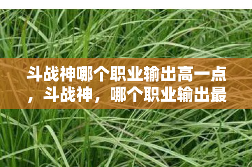 斗战神哪个职业输出高一点，斗战神，哪个职业输出最高？