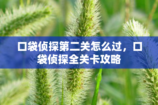 口袋侦探第二关怎么过，口袋侦探全关卡攻略