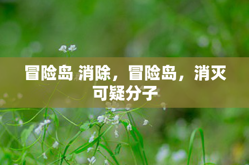 冒险岛 消除，冒险岛，消灭可疑分子