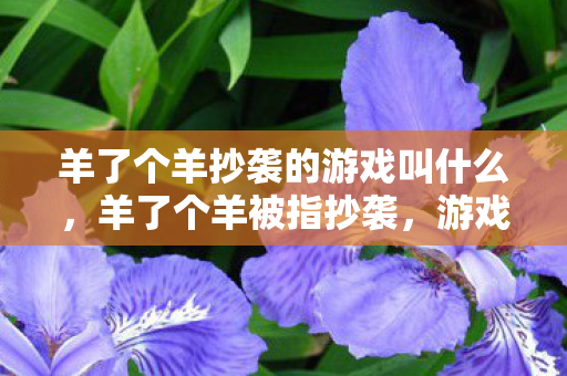 羊了个羊抄袭的游戏叫什么，羊了个羊被指抄袭，游戏创新与文化尊重的边界何在？