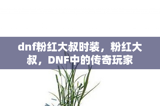 dnf粉红大叔时装，粉红大叔，DNF中的传奇玩家