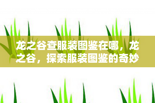 龙之谷查服装图鉴在哪,龙之谷,探索服装图鉴的奇妙之旅 龙之谷查服装图鉴在哪,龙之谷,探索服装图鉴的奇妙之旅